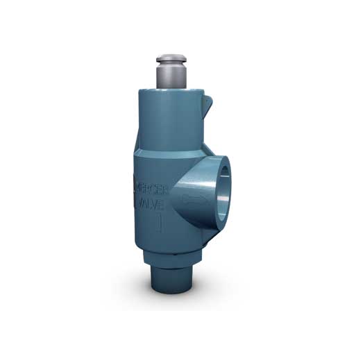 9100系列型号20安全阀