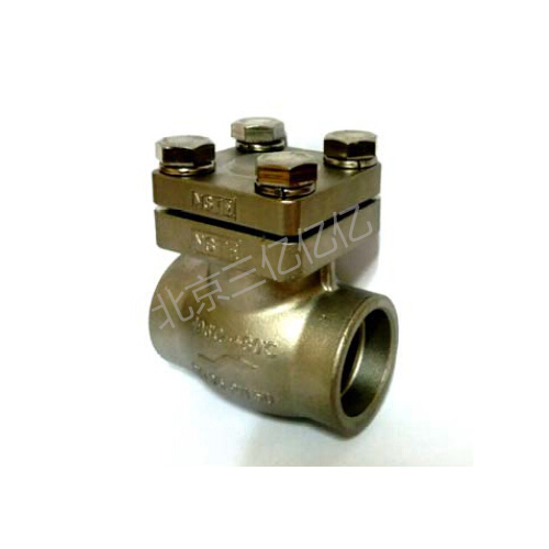 SS Cryogenic Check Valve